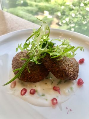 Falafel bites garlic coconut yogurt   at Eat Well Restaurant in Dubai