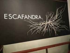 Tienen dos salas at Escafandra in Madrid