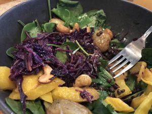 Indian summer bowl - spinach, warm potatoes, roasted yellow carrots, cashews, raw red cabbage, curry sauce and beluga lentils  at MaKE. in Dusseldorf