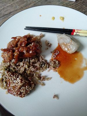 Delivery, cooked my own rice since it did not come with white. Seasame "beef" and veggie dumplings. at House of Hunan in Annapolis