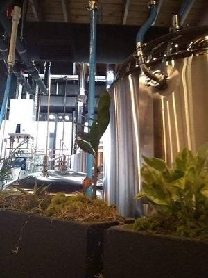 the distillery  at V-Grits and Chimera Brewing in Louisville