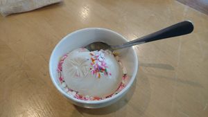 House made ice cream! With Sprinkles! at V-Grits and Chimera Brewing in Louisville