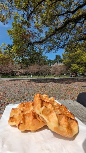 🧇 Tofu Waffle (280¥ or 310¥ | 1.8$ or 2$) at Iriyama Tofu Shop in Kyoto