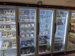  at Plano D in Funchal