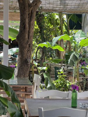   at Βouyiata B.B.Q. Malibu Bar in Corfu