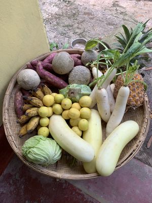   at Welle Gedara Homestay & Cooking in Weligama