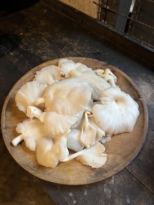   at Welle Gedara Homestay & Cooking in Weligama