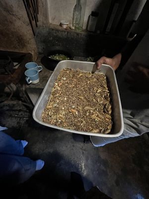   at Welle Gedara Homestay & Cooking in Weligama