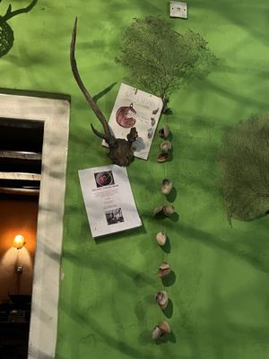   at Welle Gedara Homestay & Cooking in Weligama