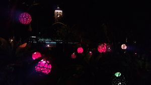 Shan's garden at night at Welle Gedara Homestay & Cooking in Weligama