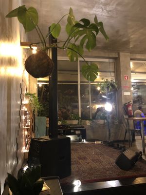 Interior space super cool and chilled at Apuro Vegan Bar in Porto