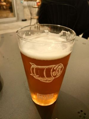 Musa IPA Pint at Apuro Vegan Bar in Porto