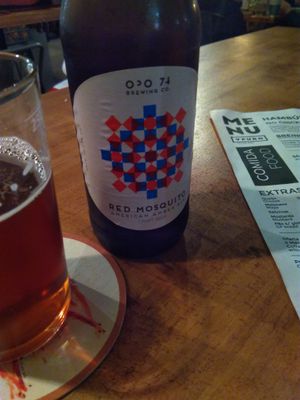 Cerveja artesanal at Apuro Vegan Bar in Porto