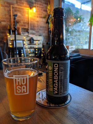 Beer at Apuro Vegan Bar in Porto