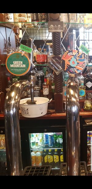 Vegan IPAs at Ivy House in Sunderland