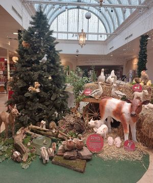 Christmas decorations at Olivo d'Oro in Marktheidenfeld-altfeld