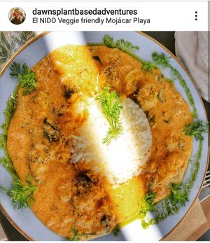 2nd visit & I had Thai Red Curry - scrumptious 💕 at El Nido Veggie Friendly in Mojacar