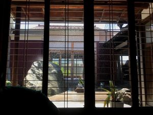 There was a sprinkler of some sort that kept coming on outside and wetting the rock. It was fun to watch. at TSUNAGORO in Yokohama