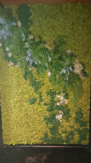  at L'Orygine in Quebec