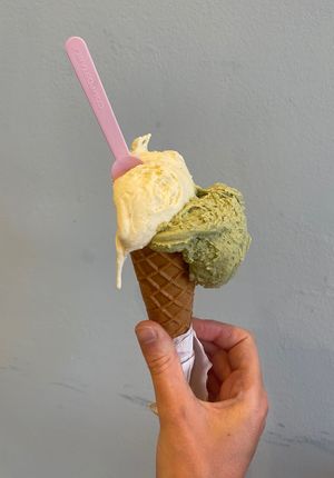 Vegan pistachio & vanilla with vegan gf cornet  at Belfiore Gelato e Cioccolato in Siracusa