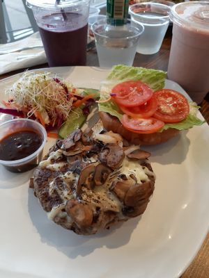 Vegan burger at Revelations Cafe in Lutz