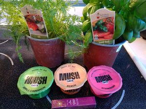 Herb plants, overnight oats in various flavors, and vegan lip tint by Pacifica. at Whole Foods Market in Naples