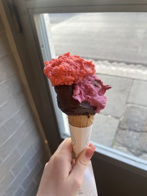 AMAZING, I highly recommend   at Gelateria La Romana in Rome