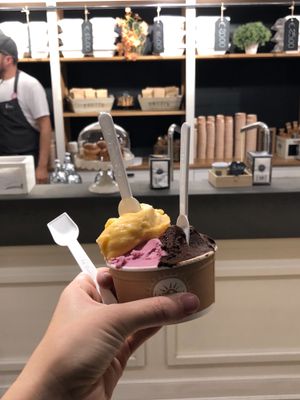 All vegan at Gelateria La Romana in Rome