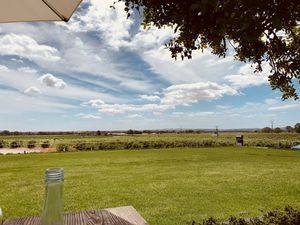 View from the terrace at Harvest Kitchen in Tanunda