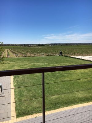 View at Harvest Kitchen in Tanunda