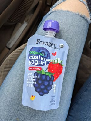Vegan yogurt squeeze pouch at Whole Foods Market - Camelback in Phoenix