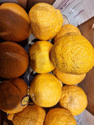  at Whole Foods Market - Camelback in Phoenix