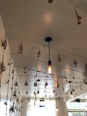 Ceiling inside at Amara Kitchen in Los Angeles