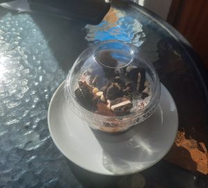 Vegan Cheesecake Oreo at Prana Vegan in Arequipa