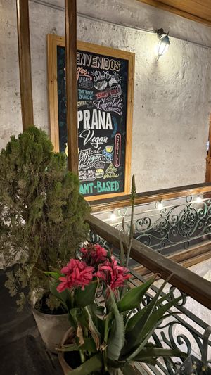   at Prana Vegan in Arequipa