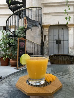 Mango pisco sour with a beautiful presentation (16PEN) at Prana Vegan in Arequipa