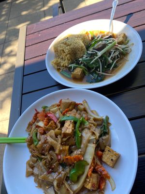 Huge amount of choices on there all vegetarian Thai menu. Everything can be made vegan. Best Thai I’ve had anywhere. at Plumeria in Encinitas