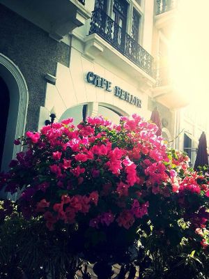 Café Berlin = CB Restaurant at Cafe Berlin in San Juan