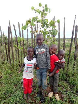  at Sadhana Forest in Maralal