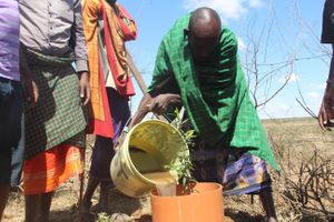  at Sadhana Forest in Maralal