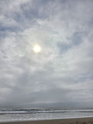  at Mao's Kitchen in Venice