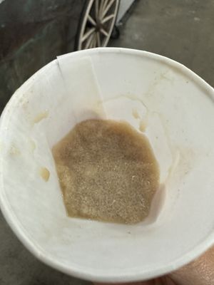 Sample of the Frozen coffee.. it’s vegan!  at Holy Crepes! in New Orleans