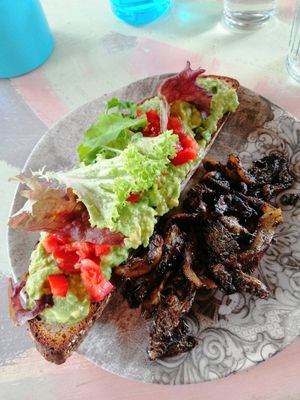 Sourdough bread with avocado and a side of delicious sauté mushrooms at Avit in Athens