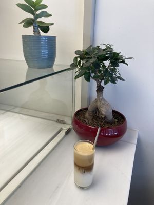Flat white with sprout milk  at Avit in Athens