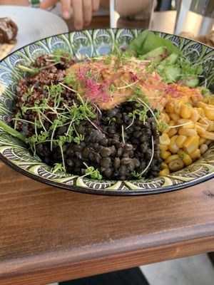 Delicious Buddha bowl of the day  at Avit in Athens