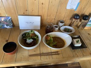 Curry at Neo Shokudo in Chiang Mai