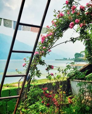 Lake view at Rest Point Cafe in Pokhara