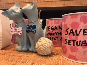 Helping every day at Wave 269 in Ericeira