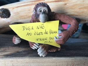 Free palm oil at Wave 269 in Ericeira