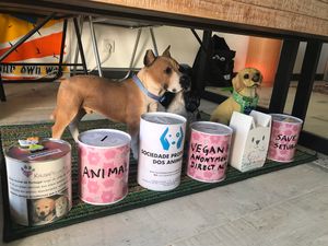 Help at Wave 269 in Ericeira